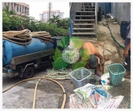 Số điện thoại hút hầm cầu Tiền Giang