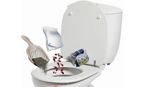 Kh&ocirc;ng được bỏ r&aacute;c v&agrave;o bồn cầu