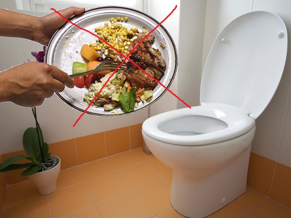 Thức ăn thừa v&agrave;o bồn cầu sẽ g&acirc;y tắc nghẽn