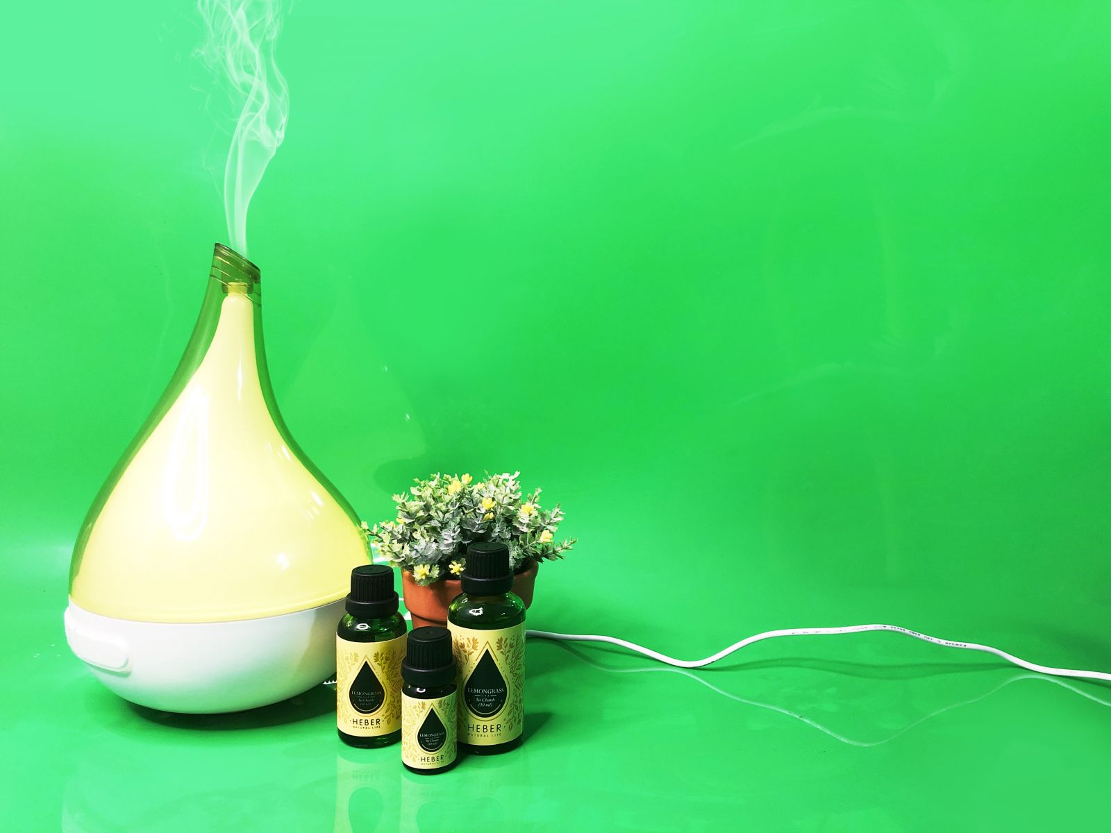 Tinh dầu sả khử m&ugrave;i h&ocirc;i thối rất tốt