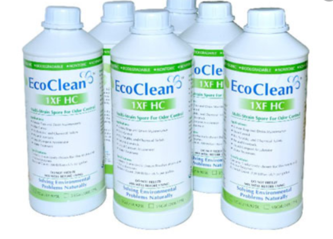 Sử dụng EcoClean để khử m&ugrave;i h&ocirc;i thối trong toilet, nh&agrave; vệ sinh