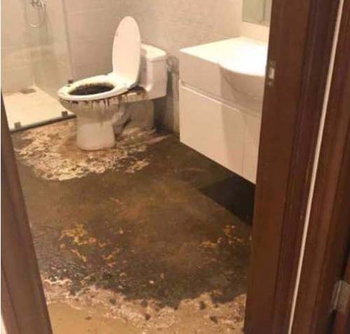 Bể phốt đầy tr&agrave;n ra ngo&agrave;i