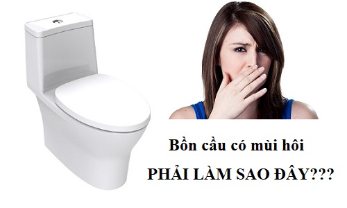 N&ecirc;n xử l&yacute; bồn cầu trước khi m&ugrave;i h&ocirc;i tồn tại qu&aacute; l&acirc;u